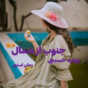 دانلود رمان جنوب از شمال 